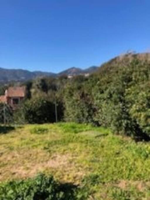 Villa En Corse Du Sud Entre Mer Et Montagne Peri Kültér fotó